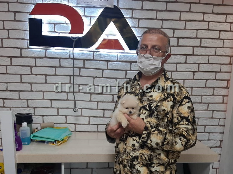مطب دامپزشکی شمال تهران