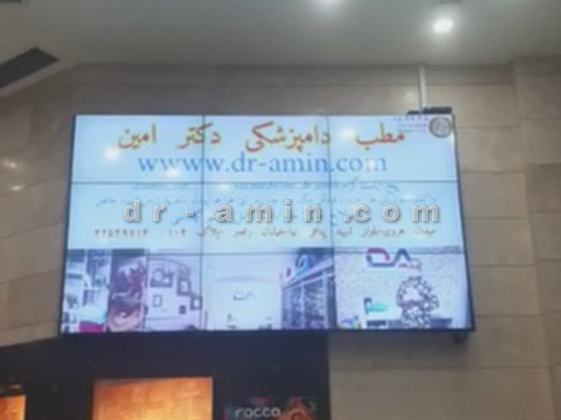 کلینیک دامپزشکی دکتر امین فخری در مرکز هروی سنتر