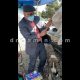 تزریق آمپول ضدکنه سگ توسط دکتر امین